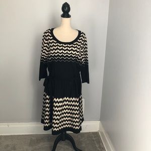 Fit and Flare Long Sleeved Sweater Dress